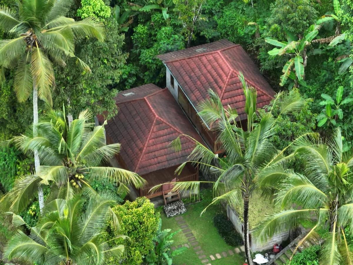 Uma D'Nyuh Homestay Singaraja Exterior foto